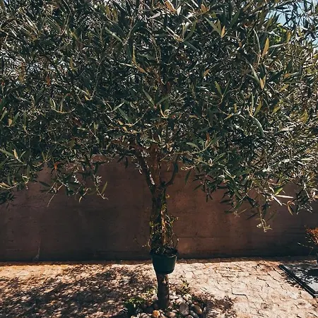 Casa Da Eira 阿鲁卡